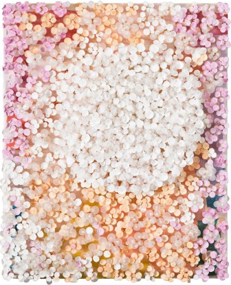 Cho Sung Hee, Beautiful Garden, 2021