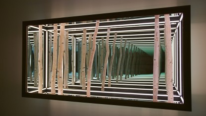 Anthony James, 60” Wall Mounted Birch (Cherry Frame), 2019