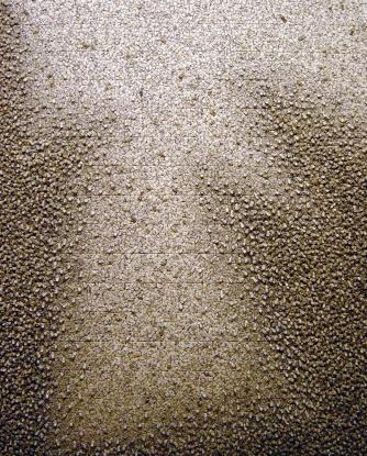 Chun Kwang Young, Aggregation02-N110, 2002
