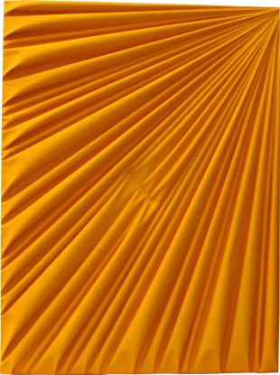 Umberto Mariani, La forma celata jaune, 2017