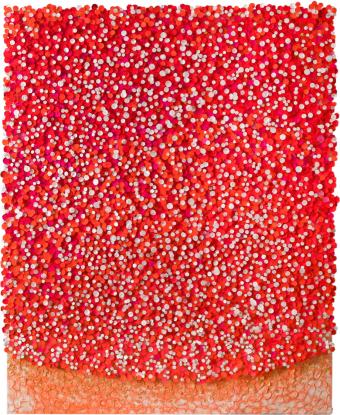 Cho Sung Hee, Red Blossoms with White Stars, 2019
